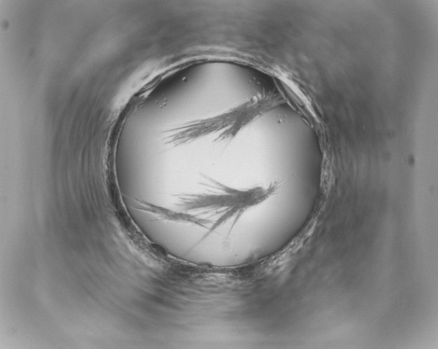 X0000088570151200706151655