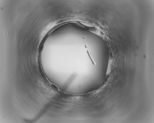 X0000088570152200706151655