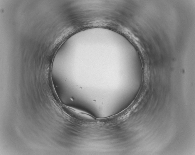 X0000088570153200706151655