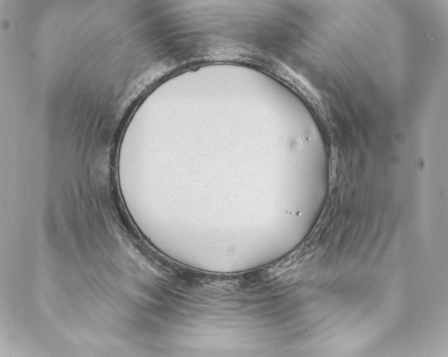 X0000088570155200706151655