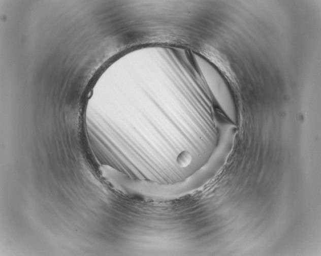 X0000088570156200706151655