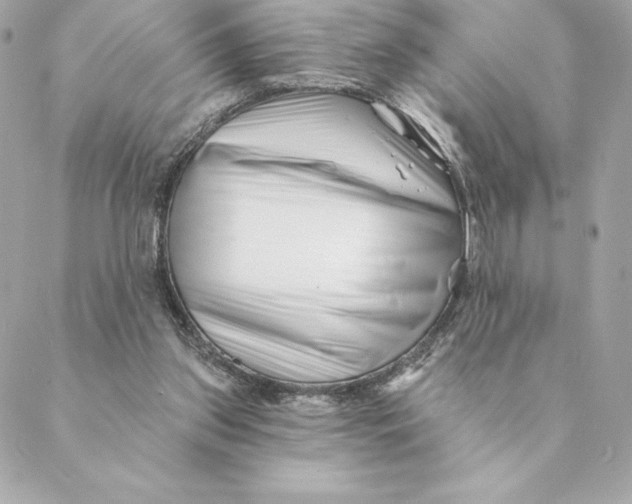 X0000088570157200706151655