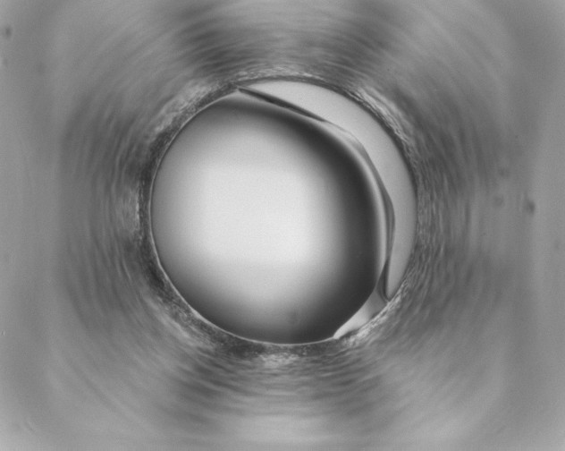 X0000088570158200706151655