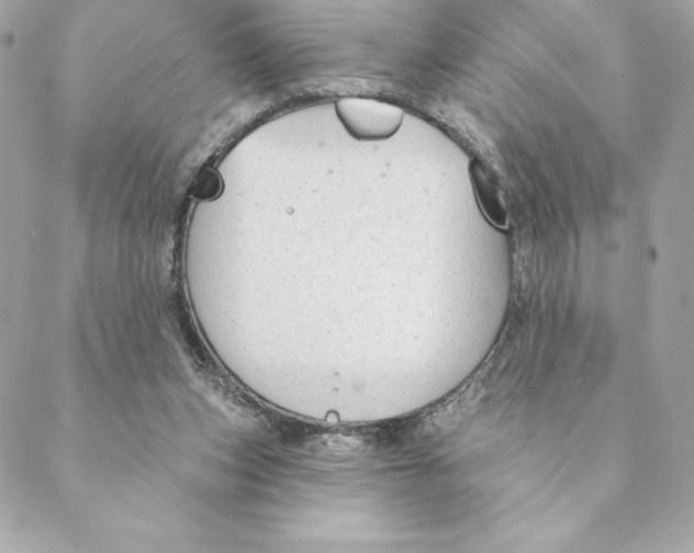 X0000088570159200706151655