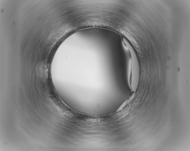 X0000088570160200706151655