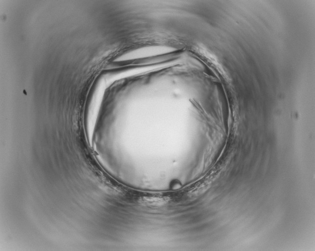 X0000088570161200706151655