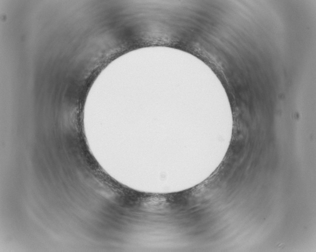 X0000088570162200706151655