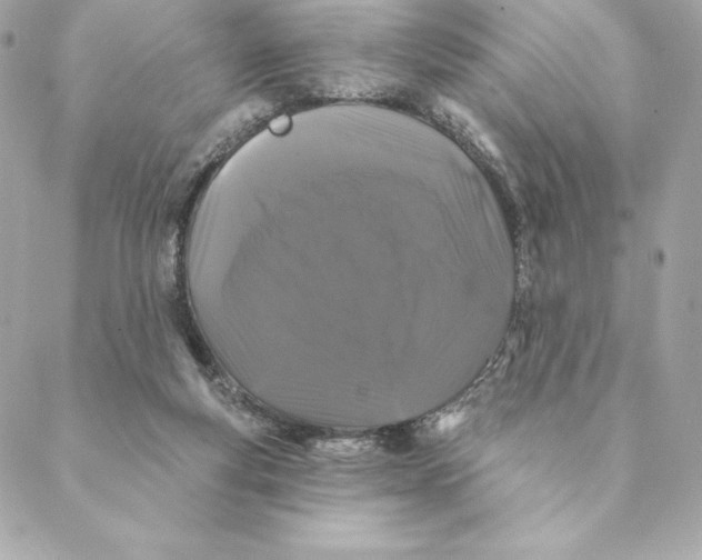 X0000088570163200706151655