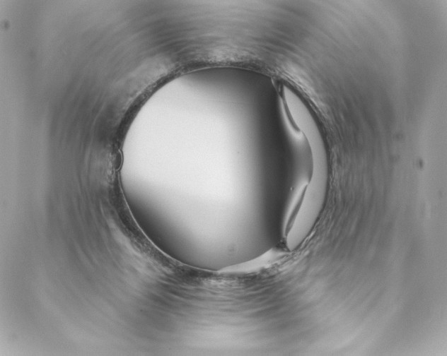 X0000088570164200706151655