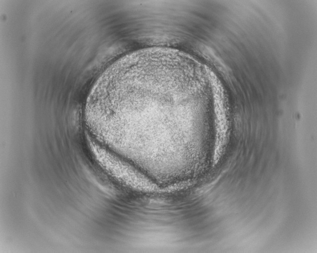 X0000088570165200706151655