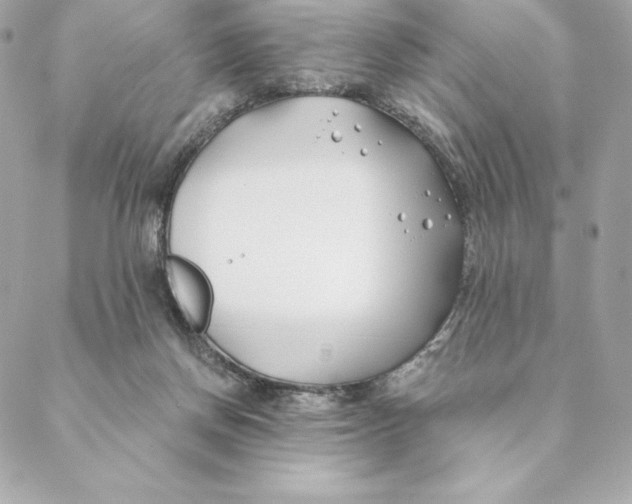 X0000088570166200706151655