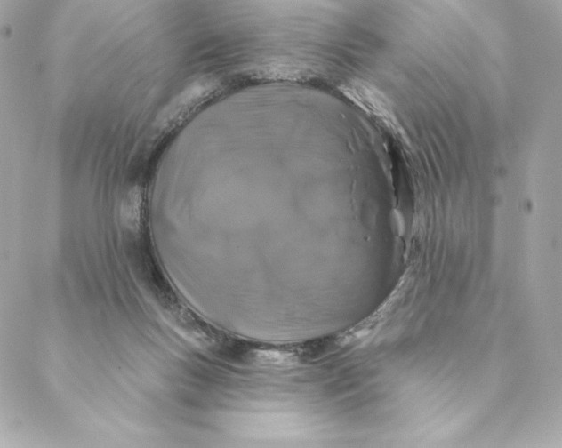 X0000088570167200706151655