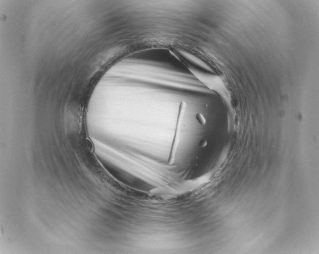 X0000088570168200706151655