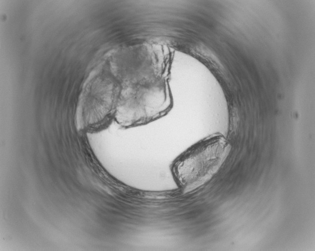 X0000088570169200706151655