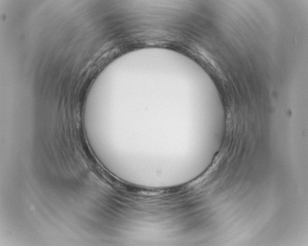 X0000088570170200706151655