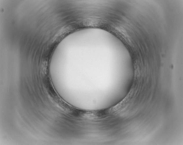 X0000088570171200706151655