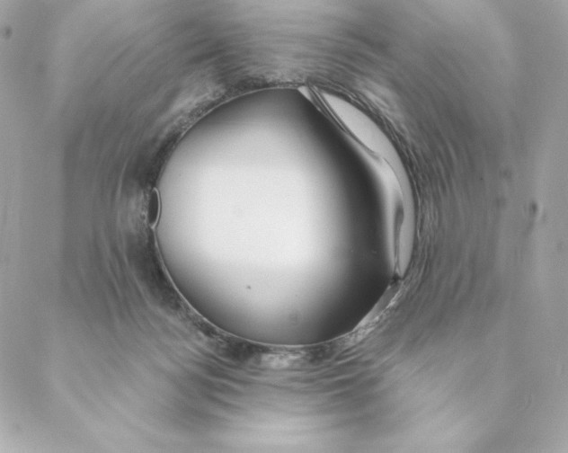 X0000088570172200706151655