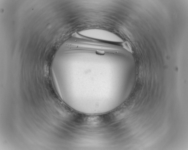 X0000088570173200706151655