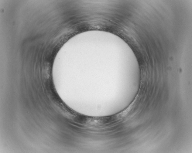 X0000088570174200706151655