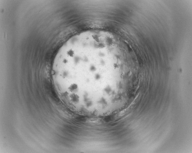 X0000088570175200706151655