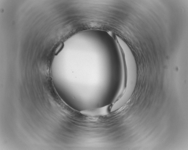 X0000088570176200706151655