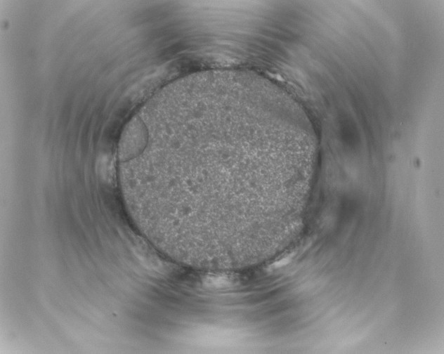 X0000088570177200706151655