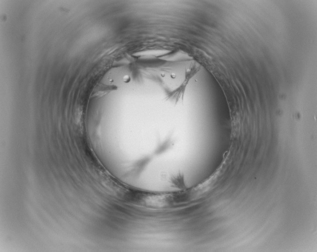 X0000088570178200706151655