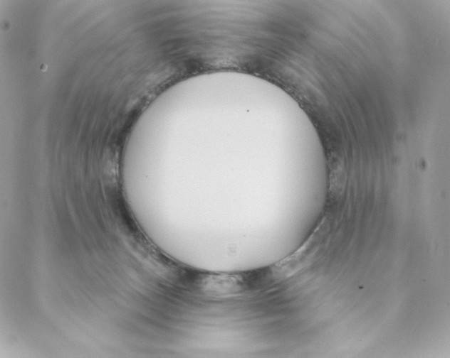 X0000088570179200706151655