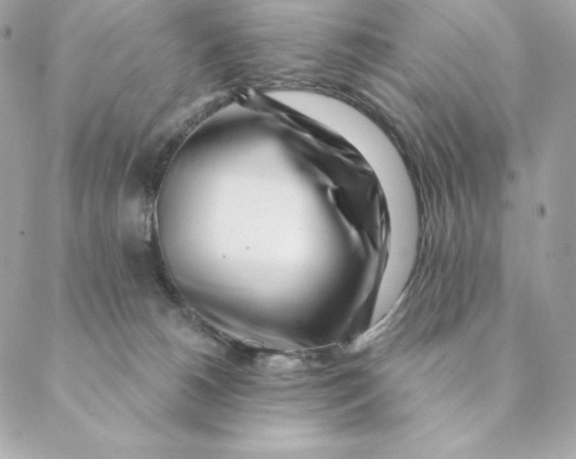 X0000088570180200706151655