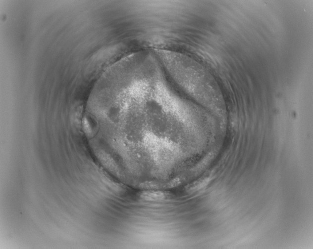 X0000088570181200706151655