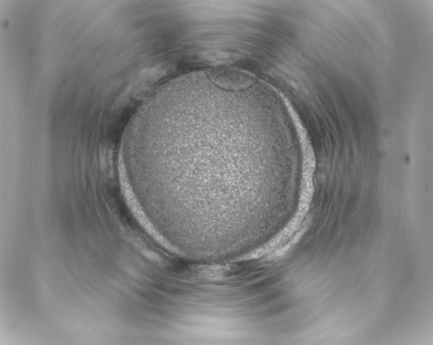 X0000088570182200706151655