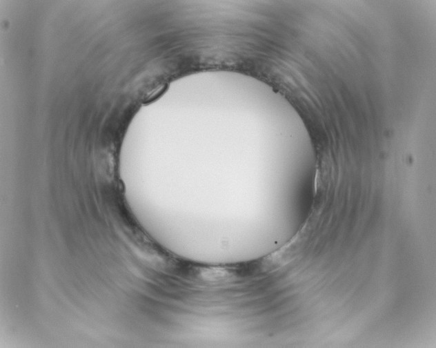 X0000088570183200706151655