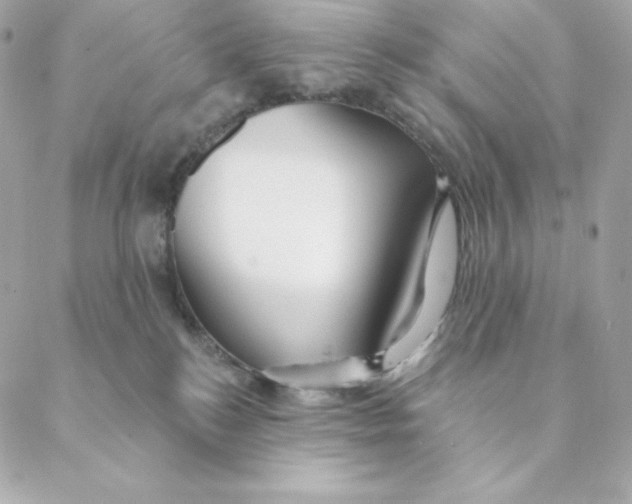 X0000088570184200706151655