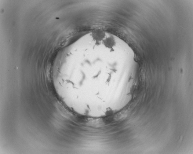 X0000088570185200706151655