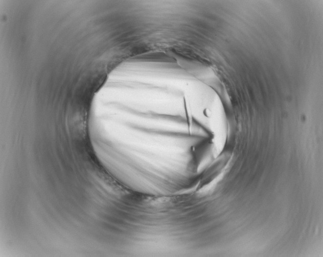 X0000088570186200706151655