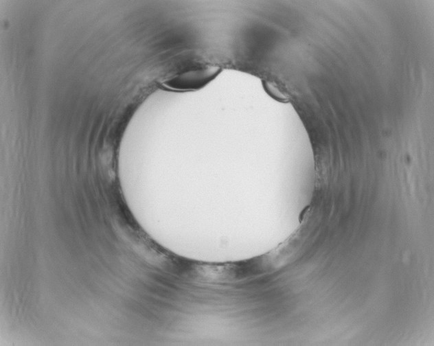 X0000088570187200706151656