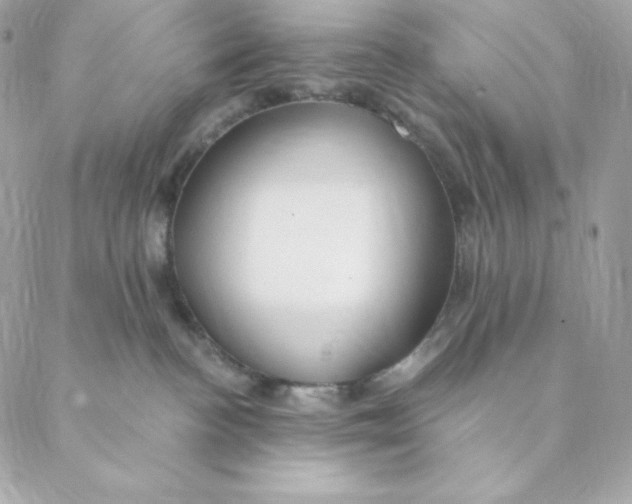 X0000088570188200706151656