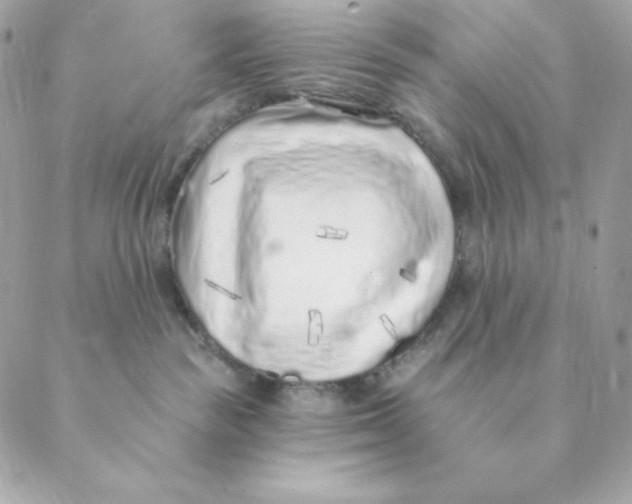 X0000088570189200706151656