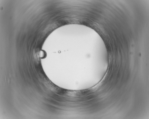 X0000088570190200706151656