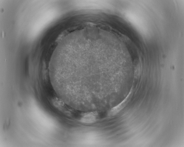 X0000088570191200706151656