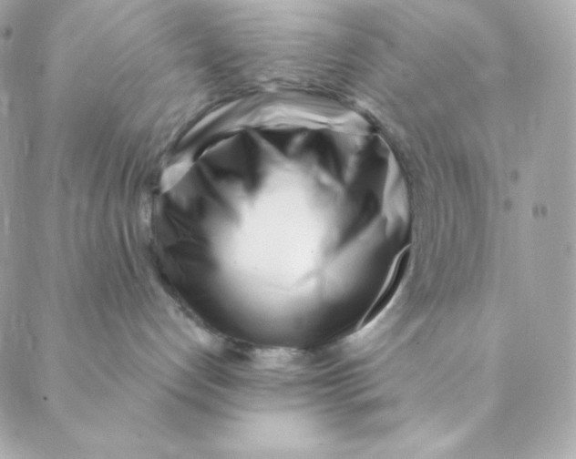 X0000088570192200706151656