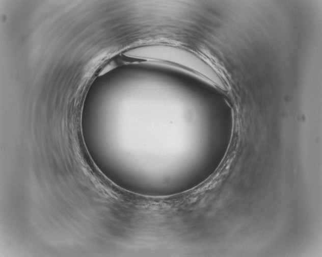 X0000088570193200706151655