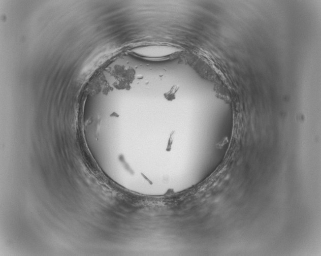 X0000088570194200706151655