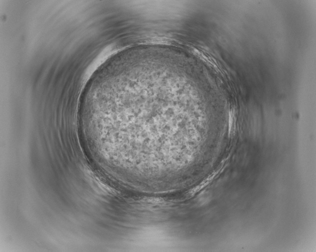 X0000088570195200706151655