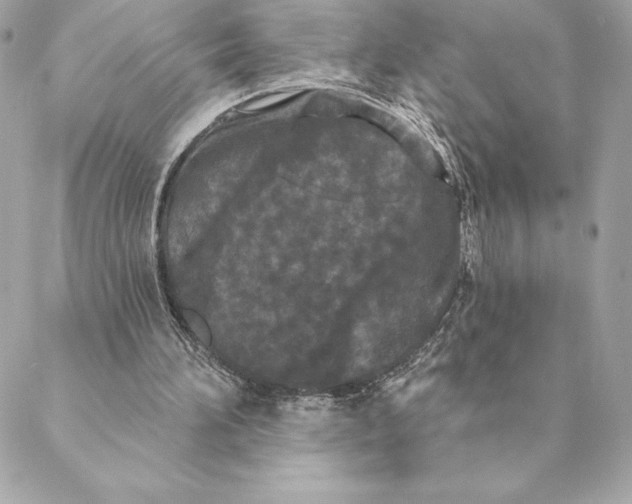 X0000088570196200706151655