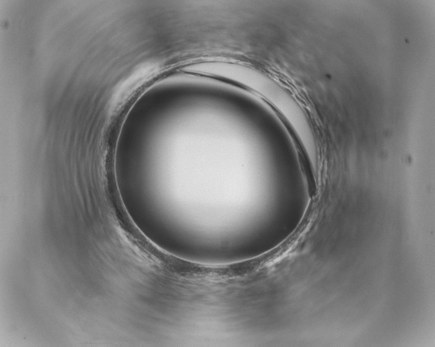 X0000088570197200706151655