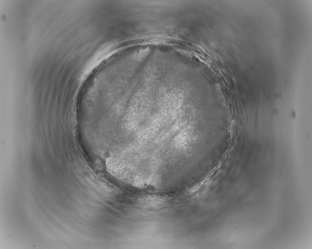 X0000088570198200706151655