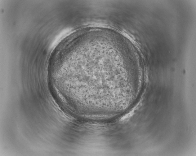 X0000088570199200706151655