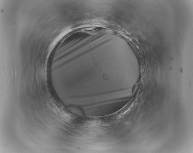 X0000088570200200706151655