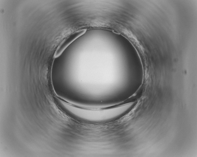 X0000088570201200706151655